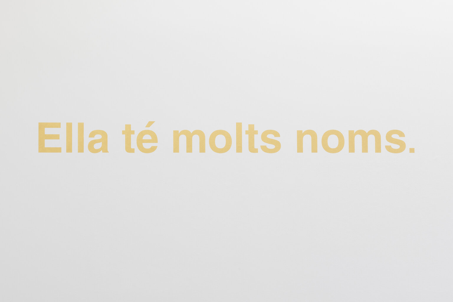 DORA GARCÍA. Golden sentence (She has many names.), 2020 | Ella té molts noms / Ella tiene muchos nombres / She has many names | ProjecteSD