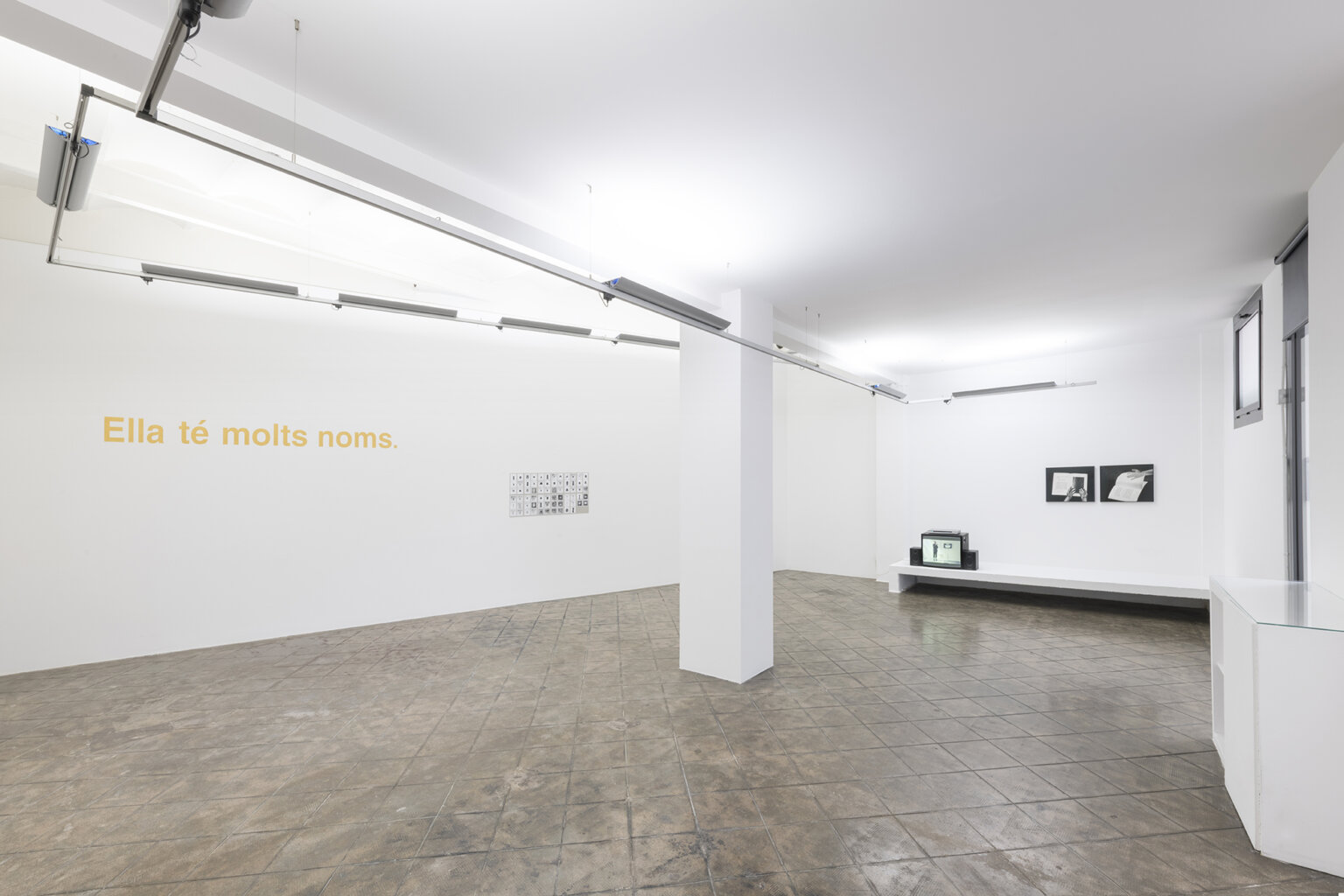 Installation view: She has many names, ProjecteSD | Ella té molts noms / Ella tiene muchos nombres / She has many names | ProjecteSD