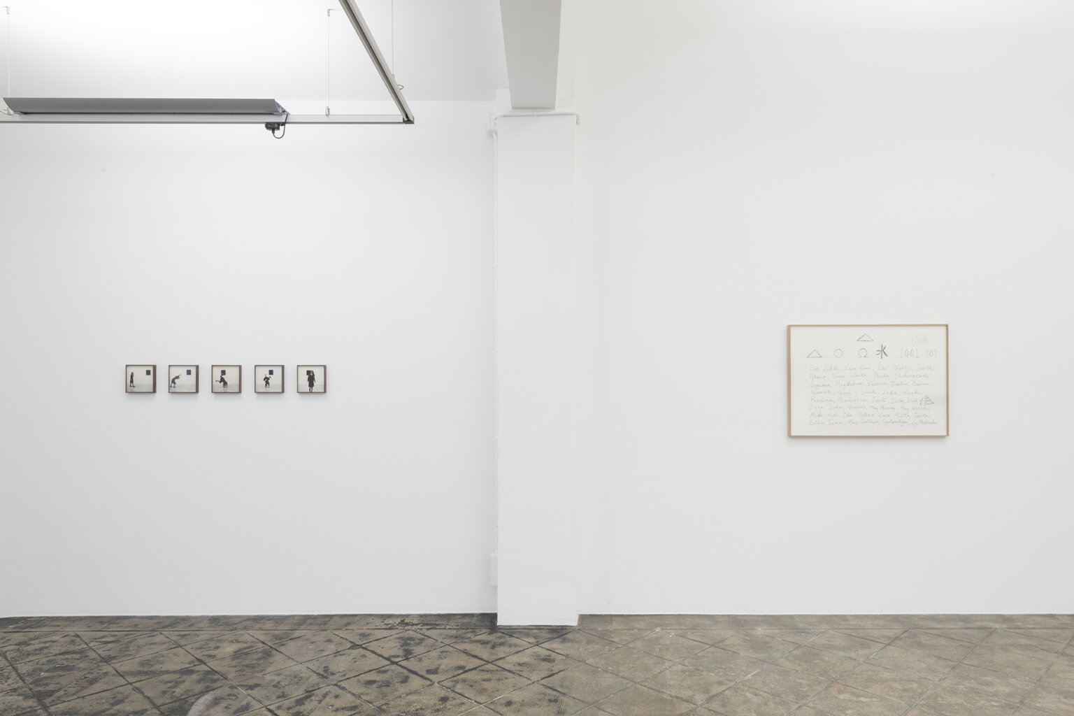Installation view: She has many names, ProjecteSD | Ella té molts noms / Ella tiene muchos nombres / She has many names | ProjecteSD