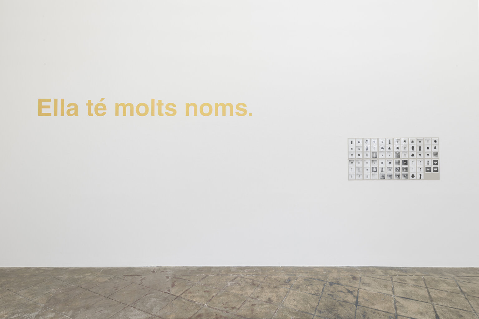 Installation view: She has many names, ProjecteSD | Ella té molts noms / Ella tiene muchos nombres / She has many names | ProjecteSD