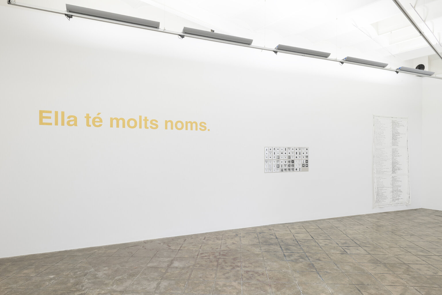 Installation view: She has many names, ProjecteSD | Ella té molts noms / Ella tiene muchos nombres / She has many names | ProjecteSD