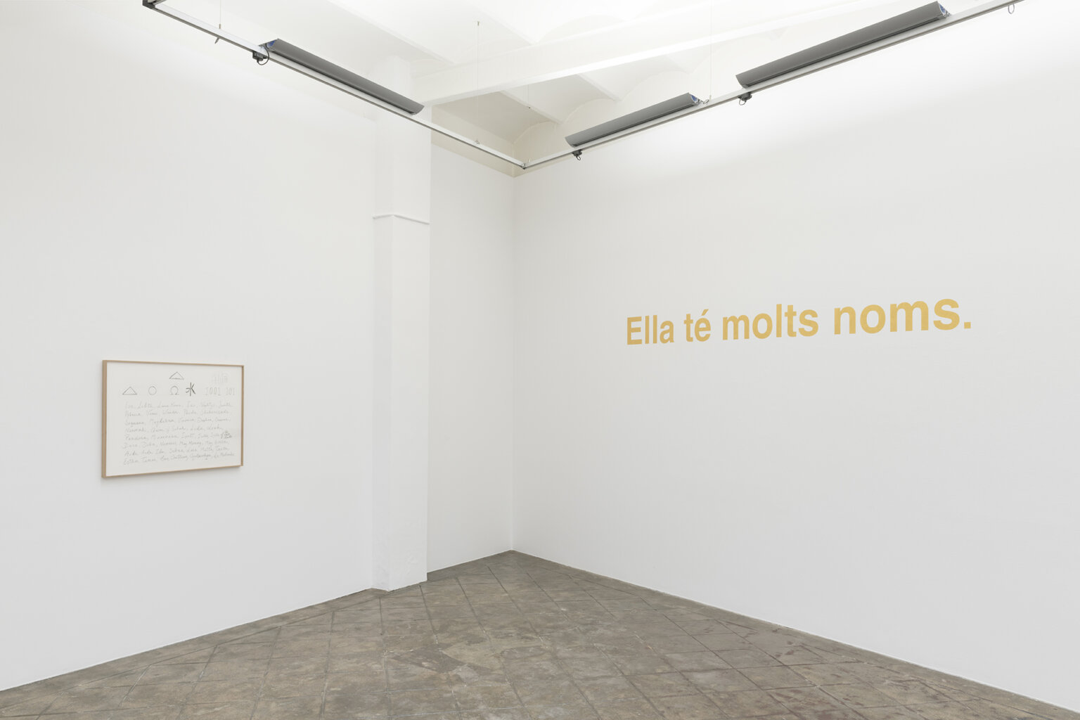 Installation view: She has many names, ProjecteSD | Ella té molts noms / Ella tiene muchos nombres / She has many names | ProjecteSD