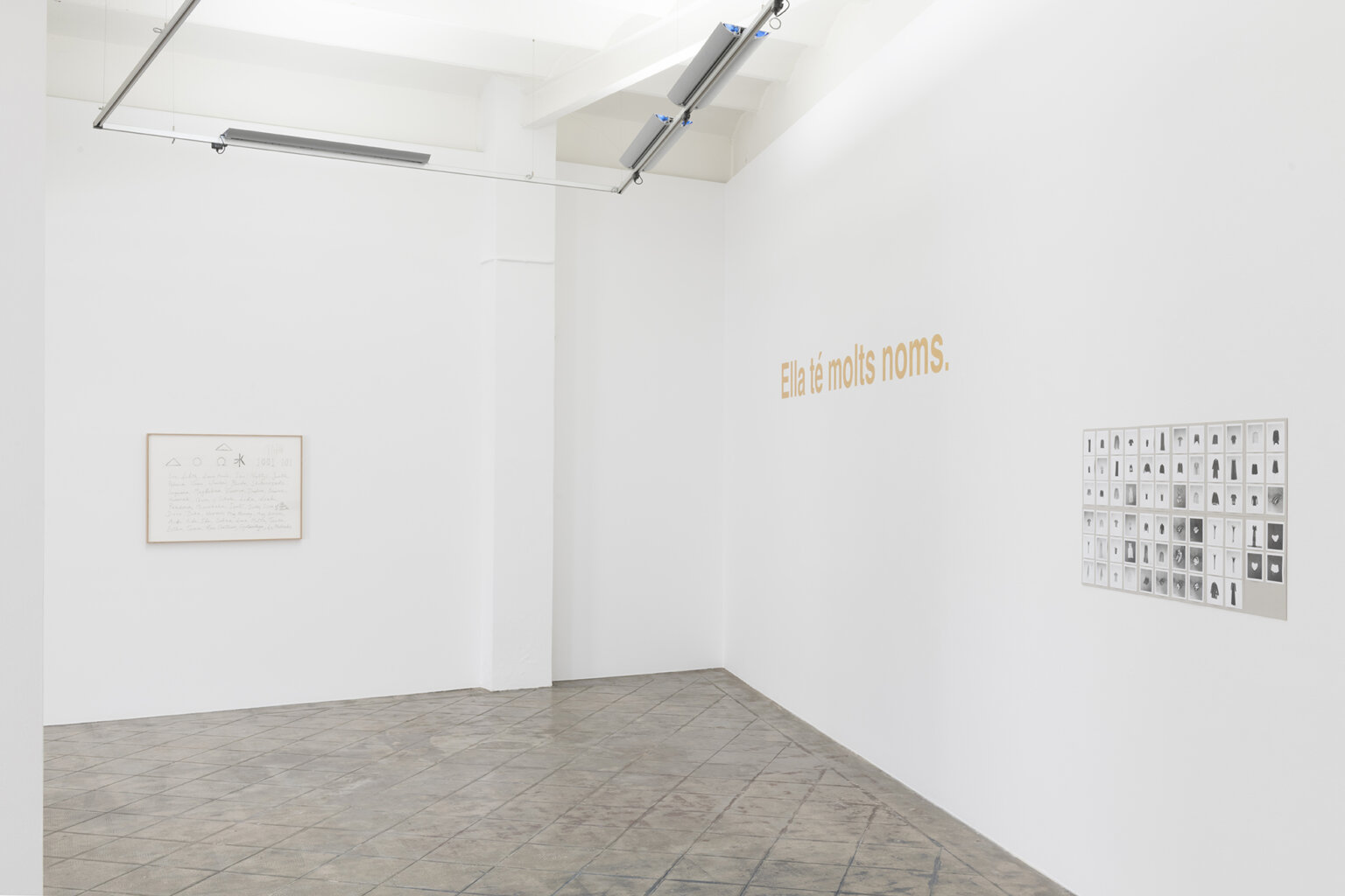 Installation view: She has many names, ProjecteSD | Ella té molts noms / Ella tiene muchos nombres / She has many names | ProjecteSD