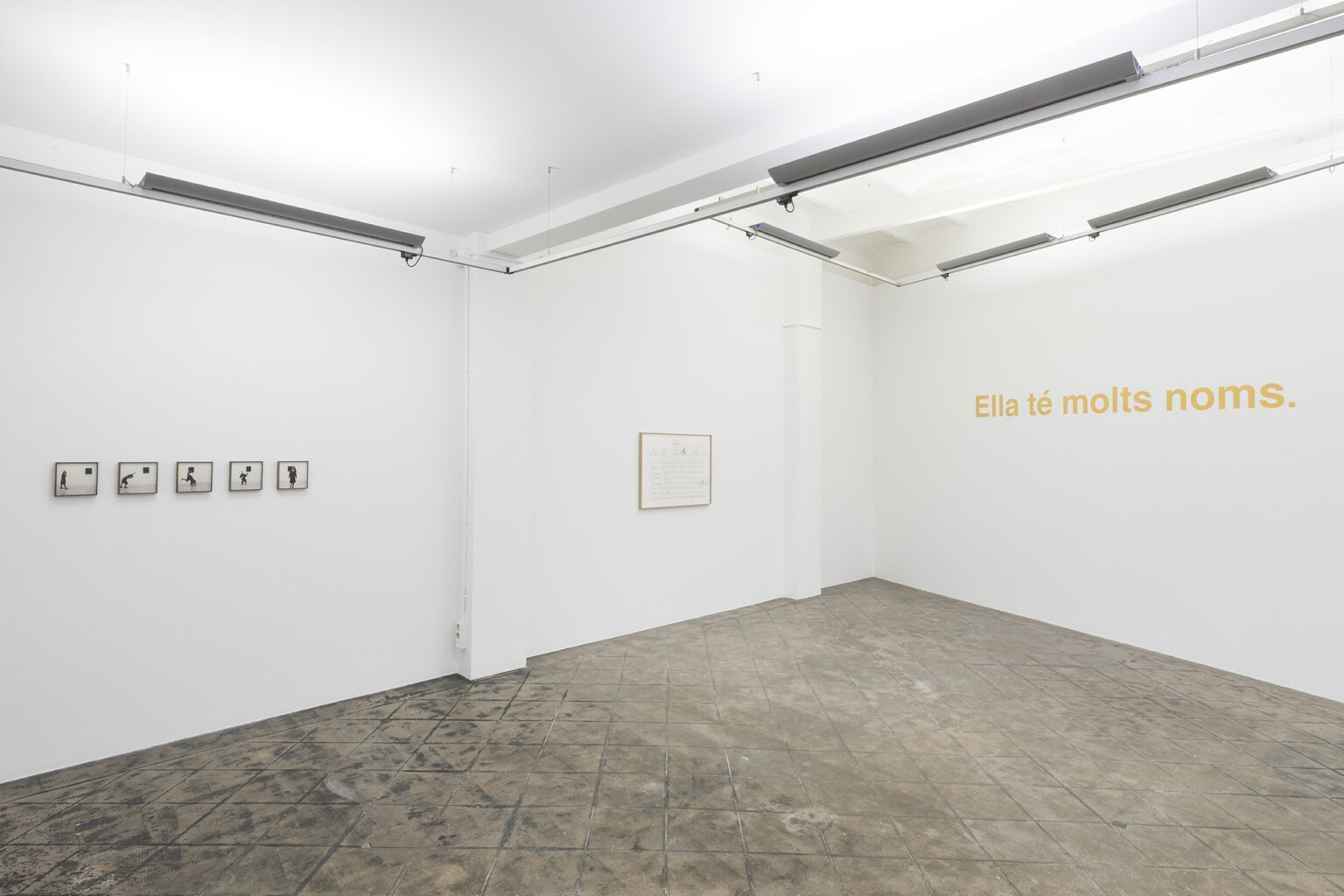 Installation view: She has many names, ProjecteSD | Ella té molts noms / Ella tiene muchos nombres / She has many names | ProjecteSD