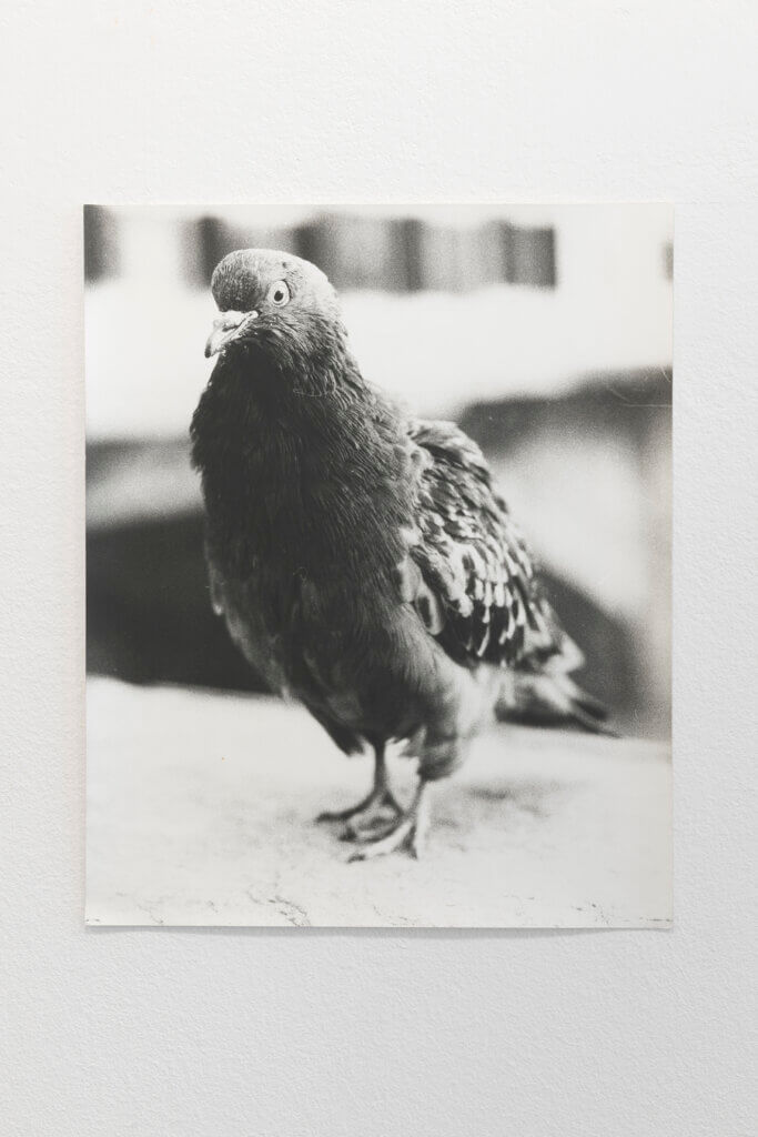 JOCHEN LEMPERT. Martha II, 2005 | Ella té molts noms / Ella tiene muchos nombres / She has many names | ProjecteSD
