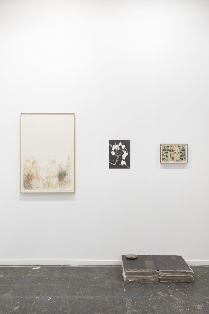 Patricia Dauder Liaisons, 2024 / Jochen Lempert Bryonia + Isakis, 2024 / LUCE Planta Cabina / Milan 3, 2024 / Patricia Dauder Protoforma, 2018-2024 (suelo / floor) | ARCO 2025 | ProjecteSD