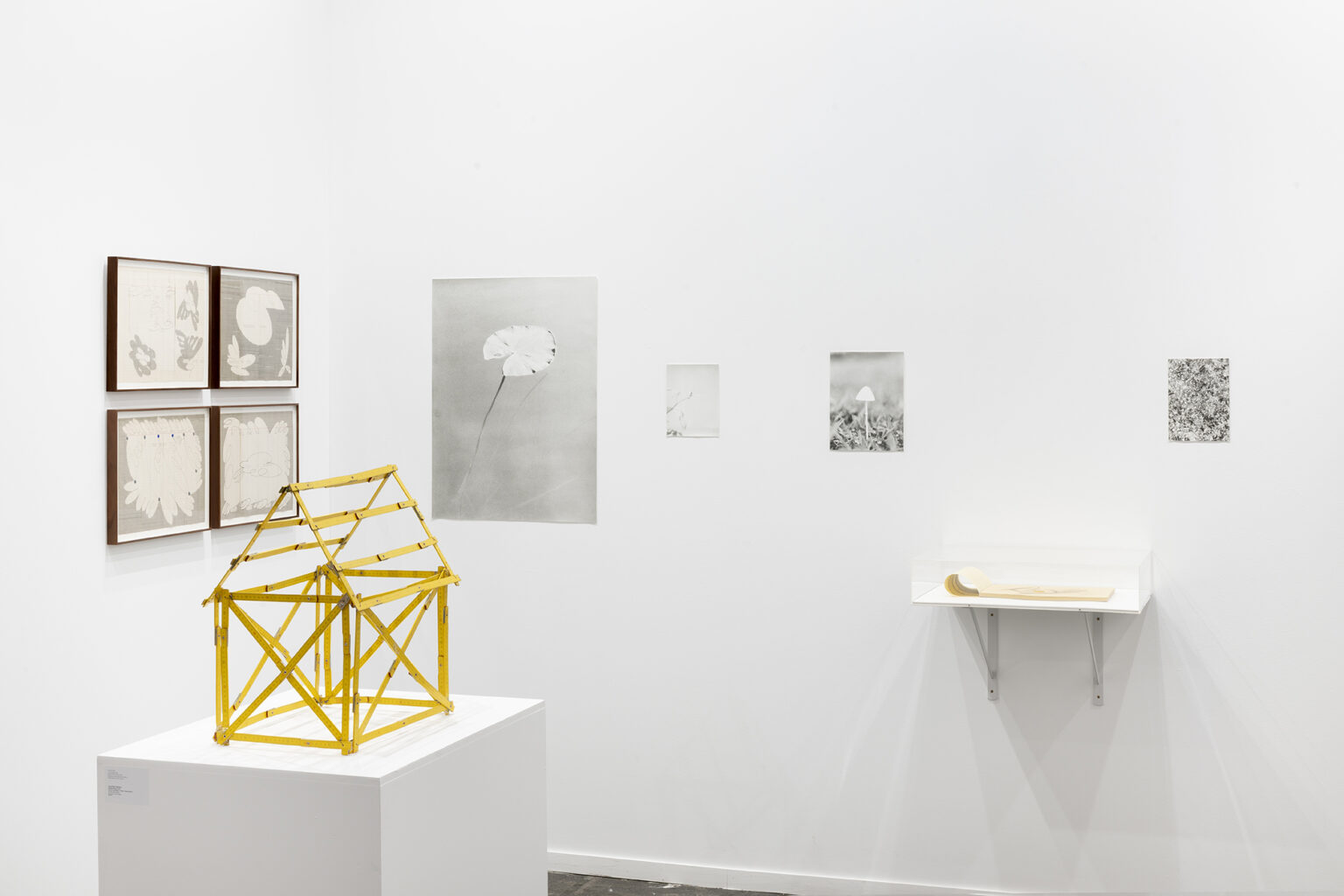 Vista de exposición / Exhibition view | ARCO 2025 | ProjecteSD