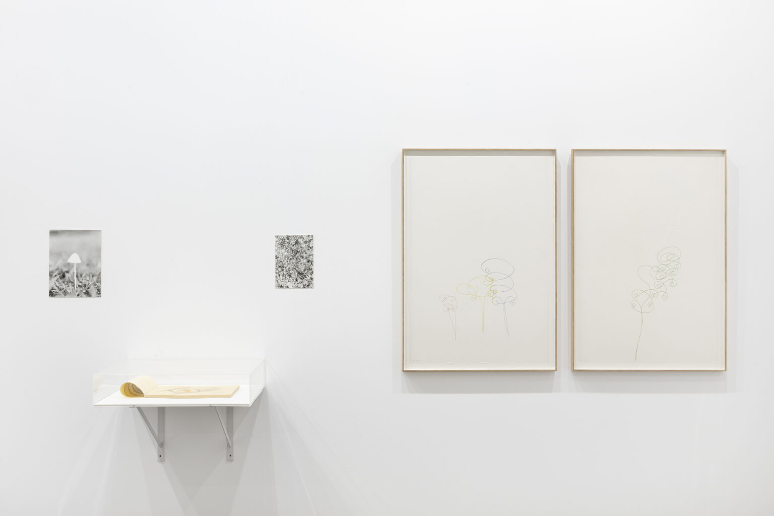 Jochen Lempert Pilz, 2023 / Dora García Dismembered (hand with coin), 2021 (Libreta / Drawing Notepad) / Jochen Lempert Bumble Bee‘s Work, 2024 / Ana Jotta Desenho de fumo, 1985-2002 / Ana Jotta Desenho de fumo, 1985-2002 | ARCO 2025 | ProjecteSD