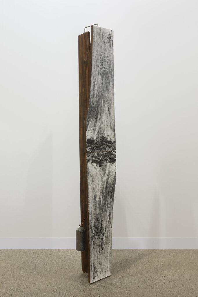 Koenraad Dedobbeleer A Consensus-based, Consumer-driven service, 2012 | ART BASEL 2025 | ProjecteSD