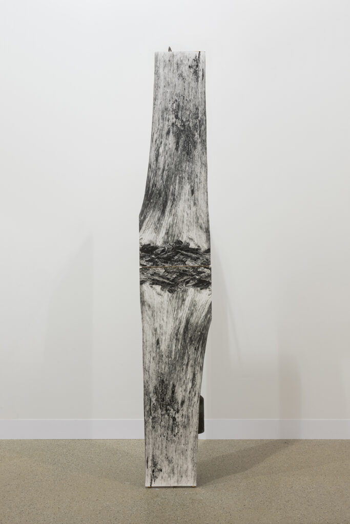 Koenraad Dedobbeleer A Consensus-based, Consumer-driven service, 2012 | ART BASEL 2025 | ProjecteSD