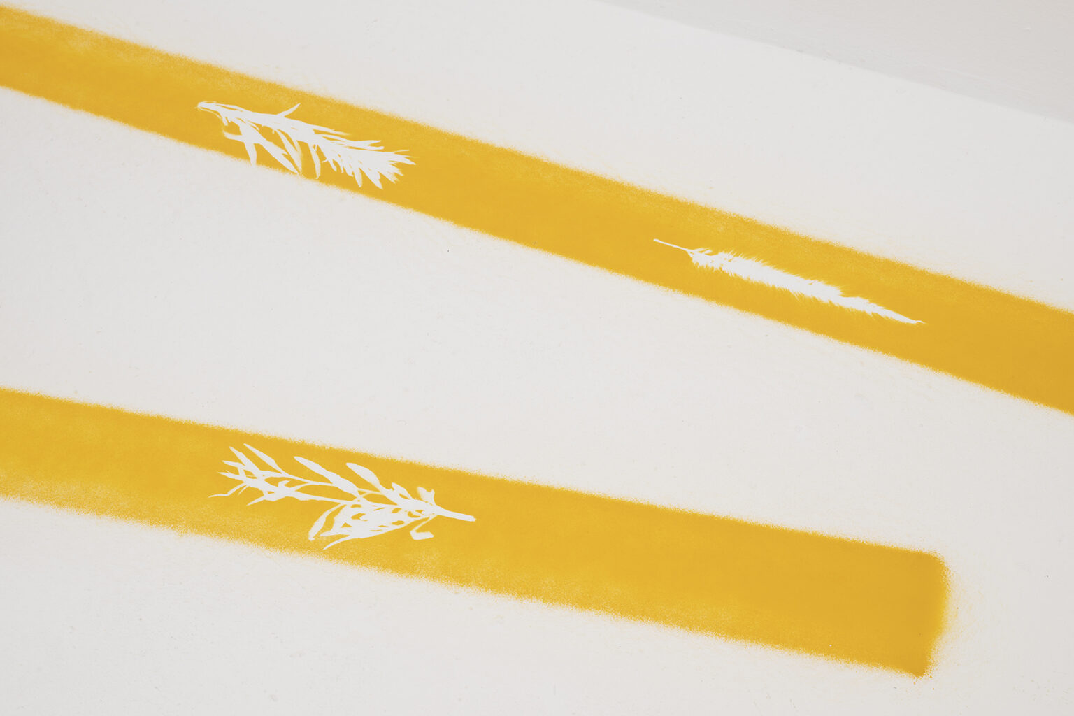 Vista de exposición / Exhibition view | BUSCANDO DONDE NO HAY NADA | ProjecteSD