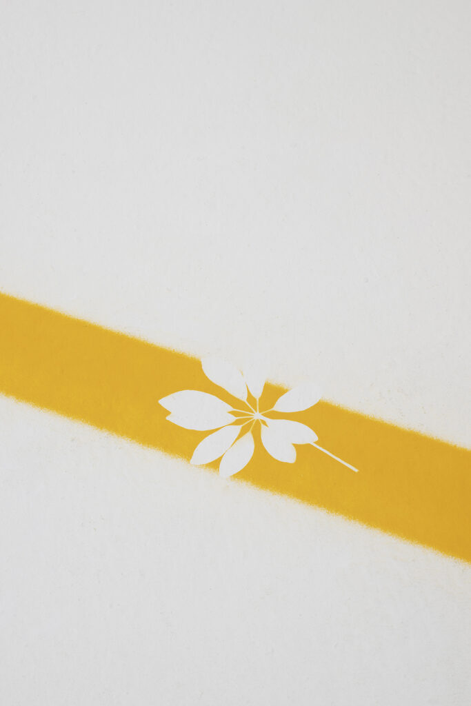 Vista de exposición / Exhibition view | BUSCANDO DONDE NO HAY NADA | ProjecteSD