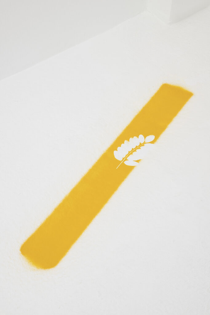 Vista de exposición / Exhibition view | BUSCANDO DONDE NO HAY NADA | ProjecteSD