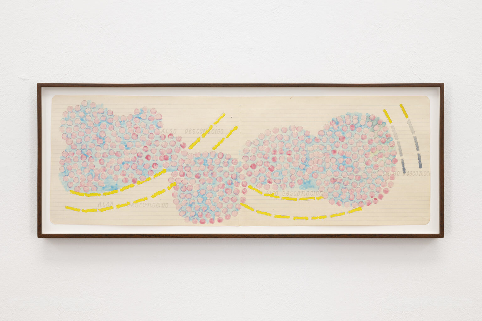 Algo desconocido, 2025 | BUSCANDO DONDE NO HAY NADA | ProjecteSD