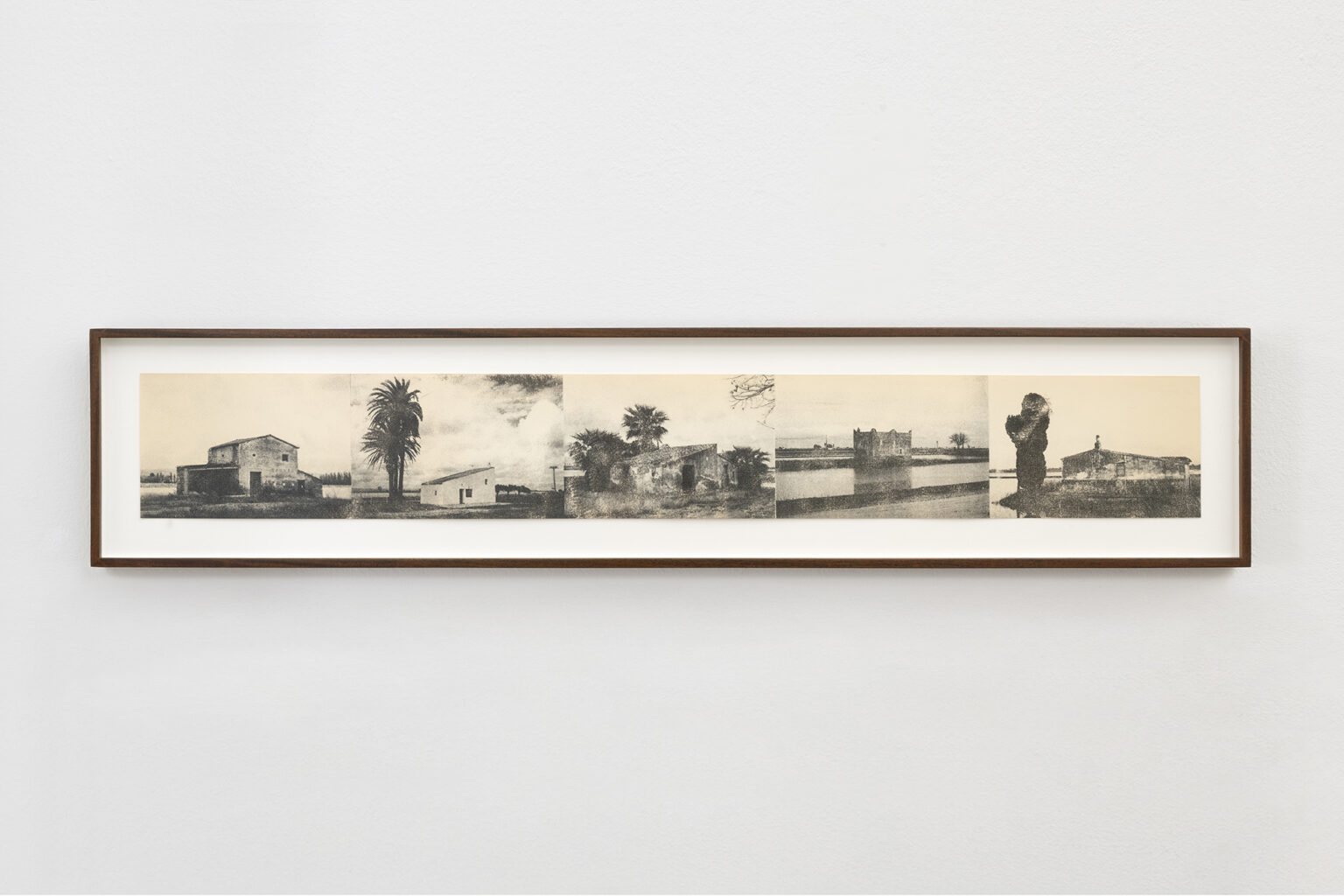 Construcciones Delta del Ebro, 2025 | BUSCANDO DONDE NO HAY NADA | ProjecteSD