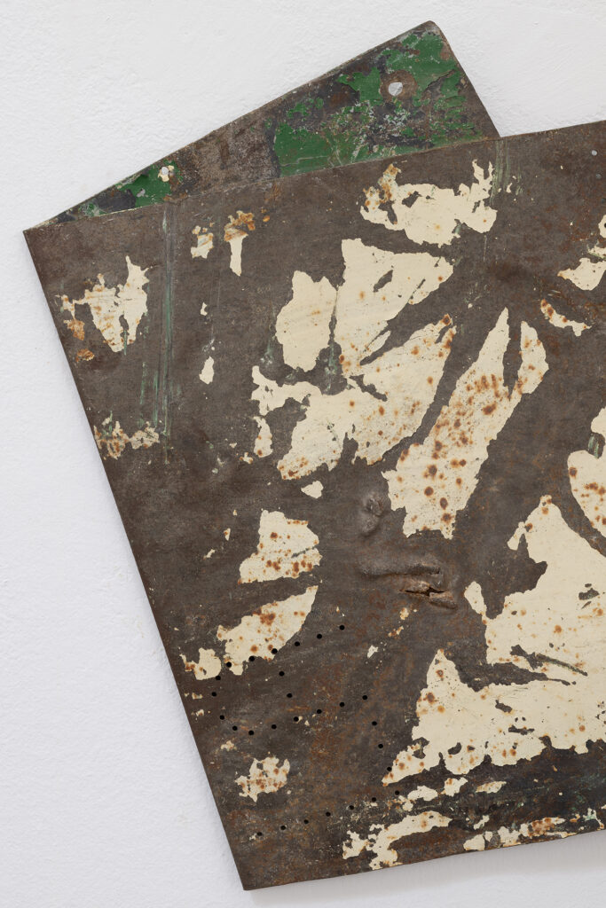 La desaparición del solar, 2025 | BUSCANDO DONDE NO HAY NADA | ProjecteSD