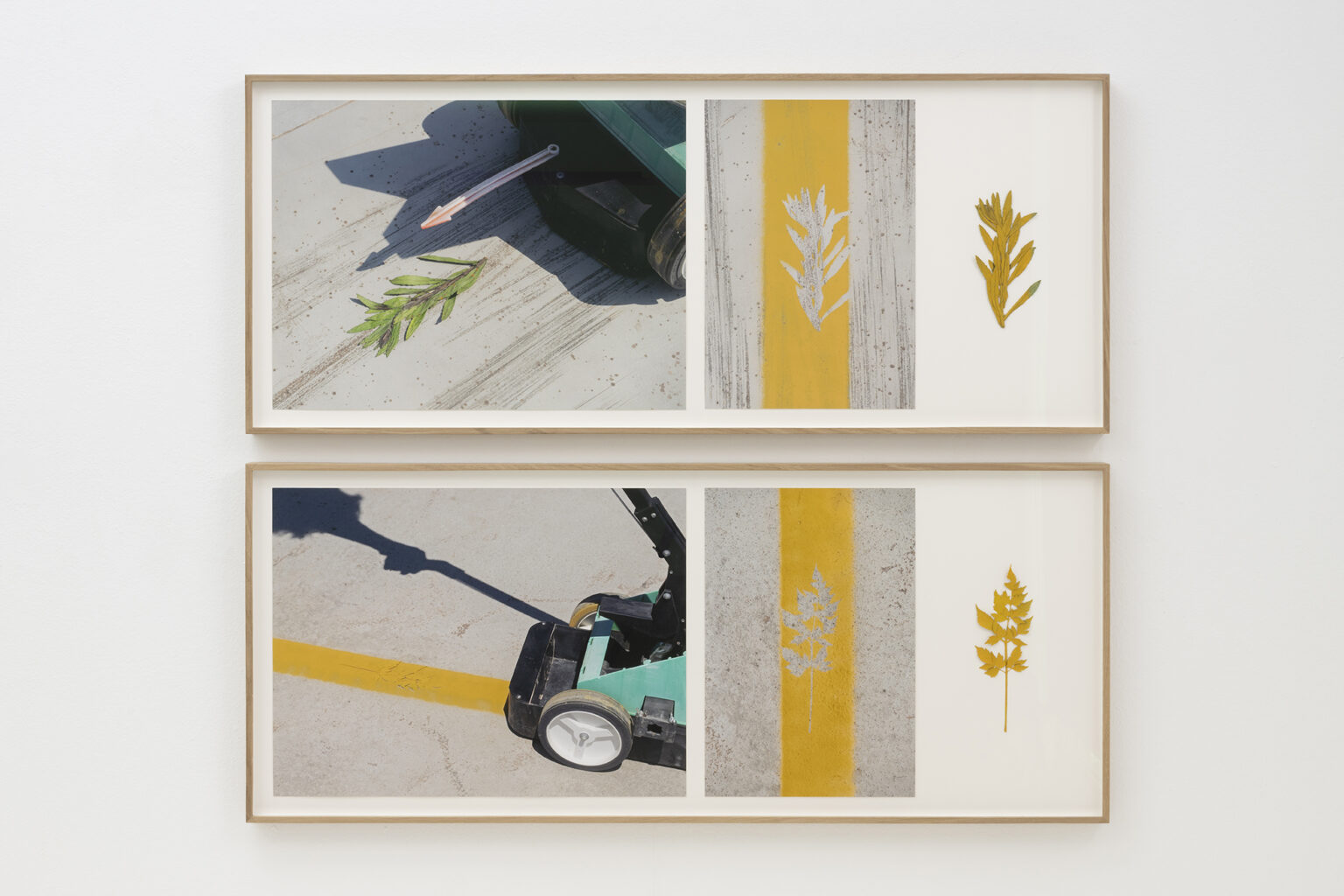 Vista de exposición / Exhibition view | BUSCANDO DONDE NO HAY NADA | ProjecteSD