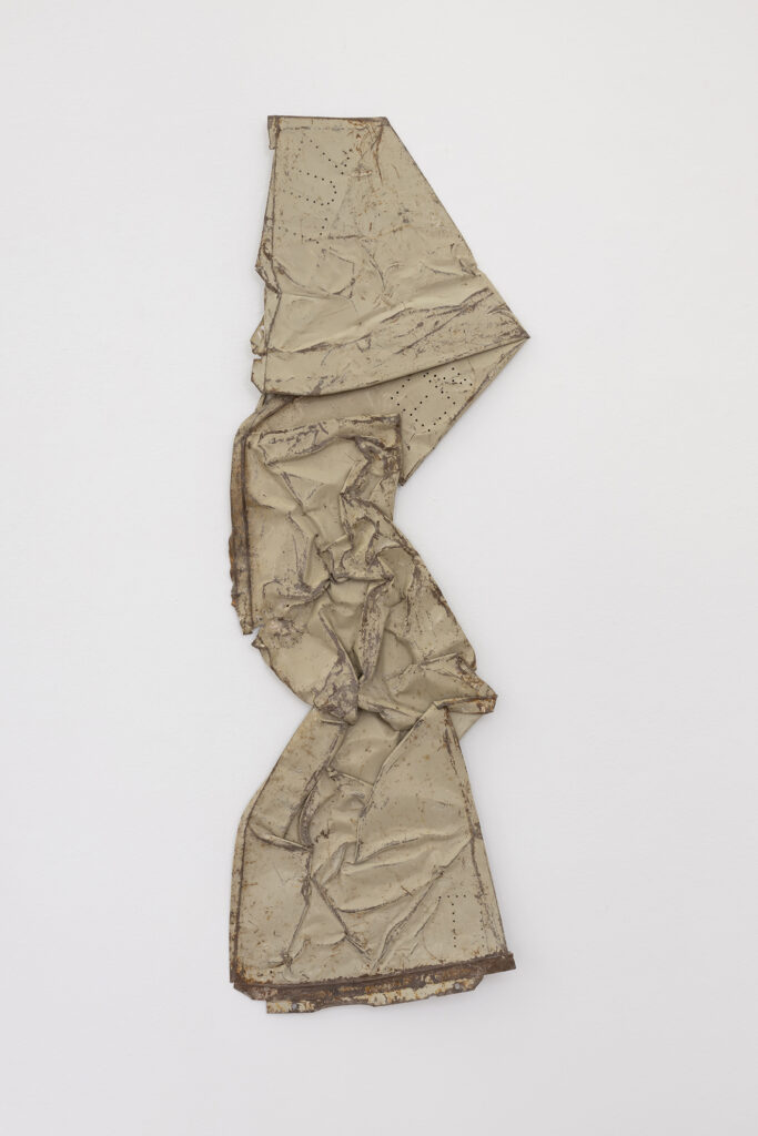 Luz en ti, 2025 | BUSCANDO DONDE NO HAY NADA | ProjecteSD