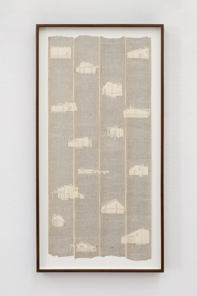 Visto en el Ebro, 2025 | BUSCANDO DONDE NO HAY NADA | ProjecteSD