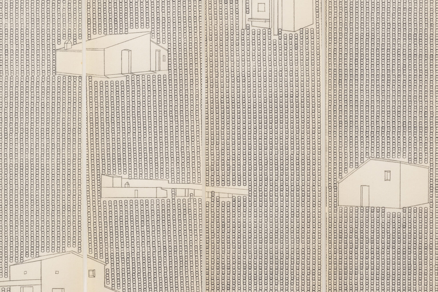 Visto en el Ebro, 2025 | BUSCANDO DONDE NO HAY NADA | ProjecteSD