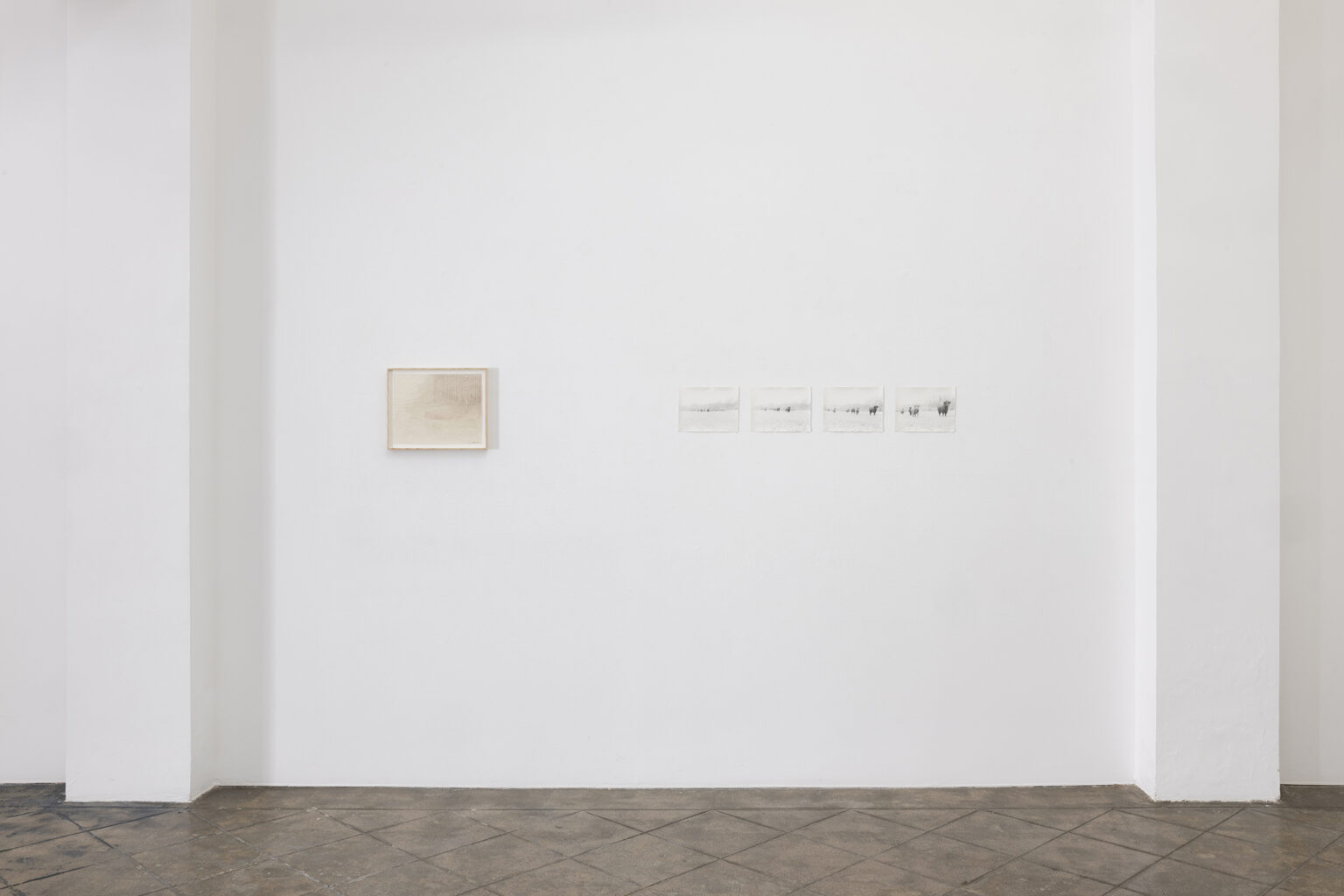 Vista de exposición / Exhibition view | CAMINAR [WALKING] | ProjecteSD