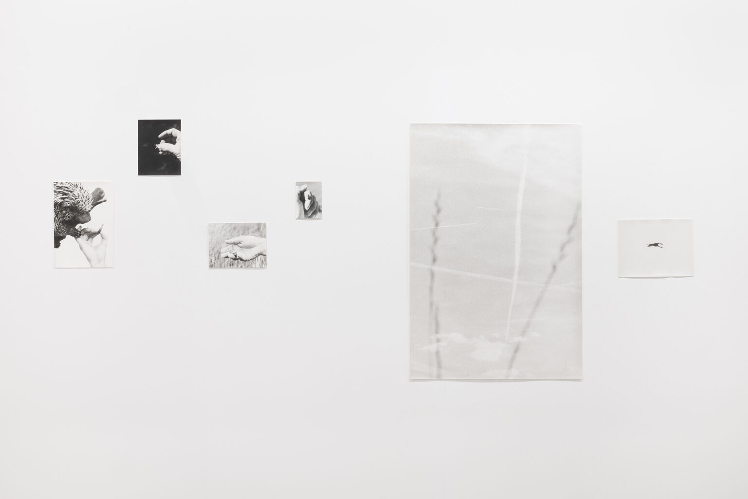  | ARCO 2026 | ProjecteSD