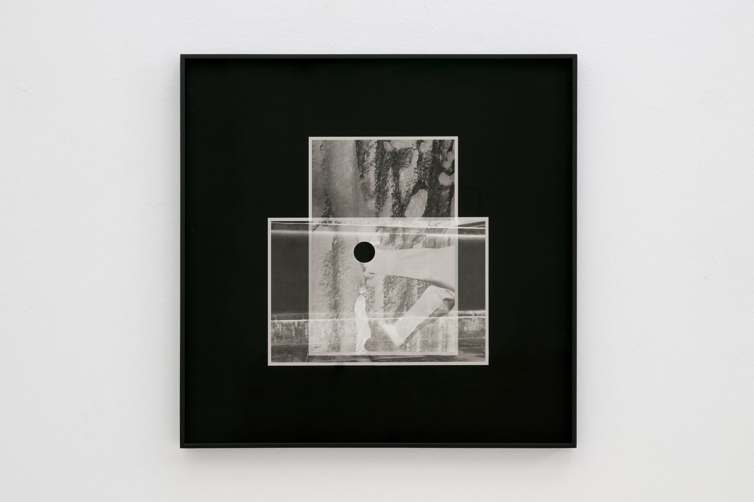 Iñaki Bonillas Trout Fishing in America, 2023 | CAMINAR [WALKING] | ProjecteSD