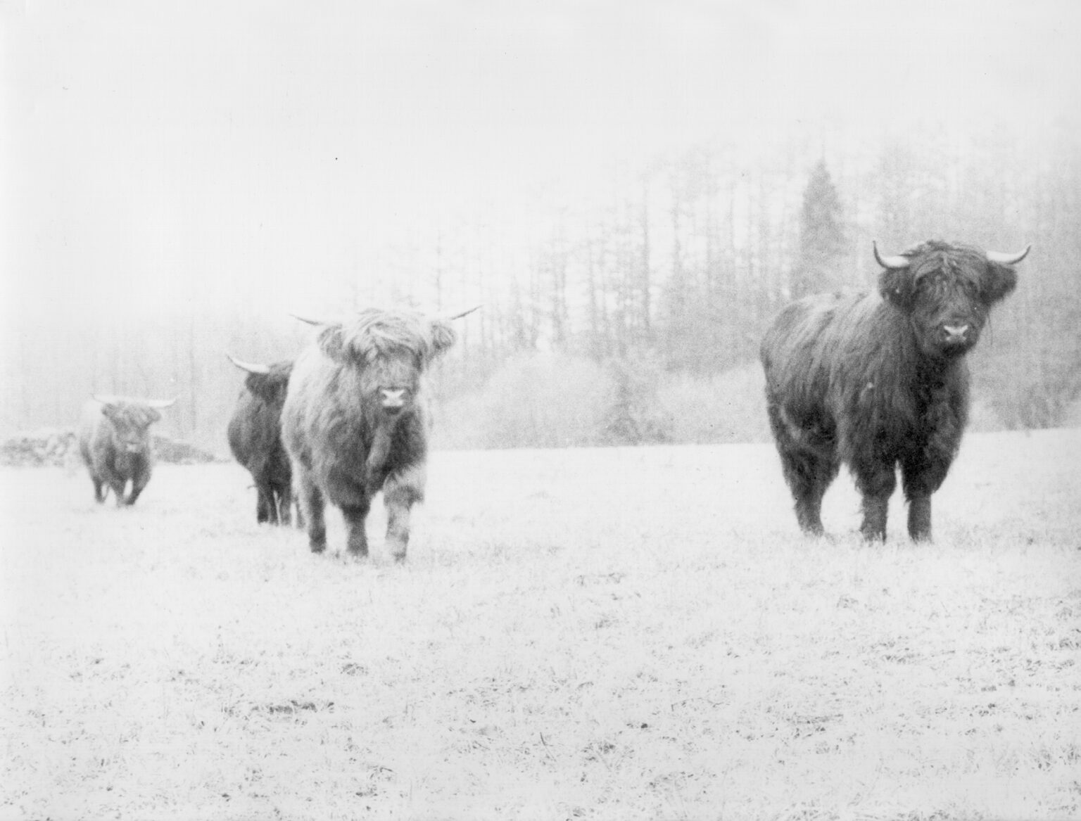 Jochen Lempert Walking Half a Mile in Northern Germany, 2004 | CAMINAR [WALKING] | ProjecteSD