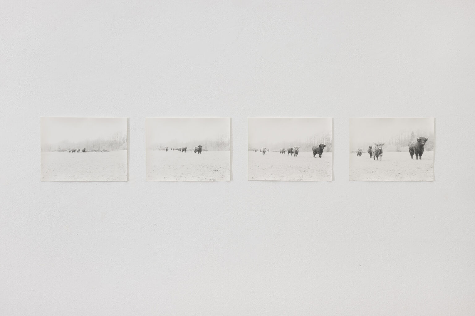 Jochen Lempert Walking Half a Mile in Northern Germany, 2004 | CAMINAR [WALKING] | ProjecteSD