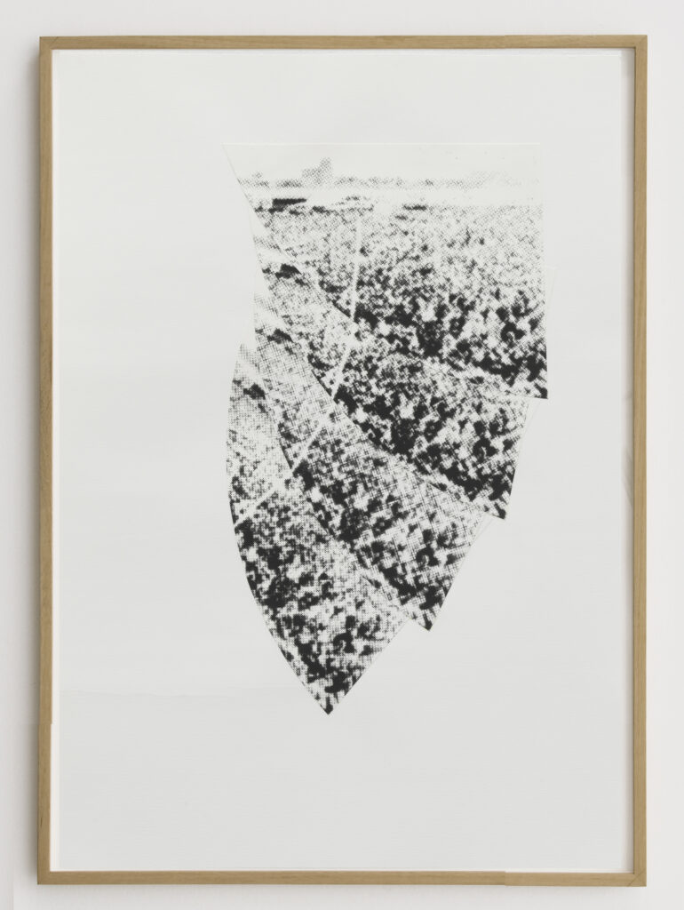 Asier Mendizabal Sin Título (Trama #9), 2019 | STORAGE ON DISPLAY – PERMANENT SECTION | ProjecteSD