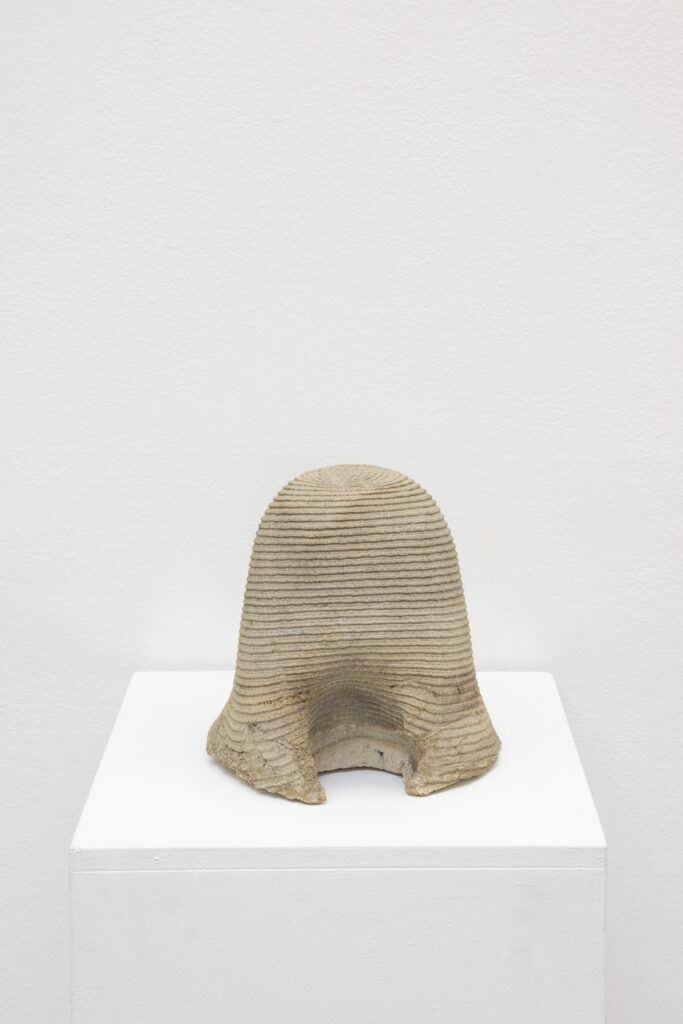 Asier Mendizabal Stilfragen (Glossopalatine), 2025 | STORAGE ON DISPLAY – PERMANENT SECTION | ProjecteSD