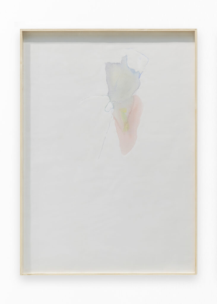 Patricia Dauder.Reserva 1, 2018 | STORAGE ON DISPLAY – PERMANENT SECTION | ProjecteSD