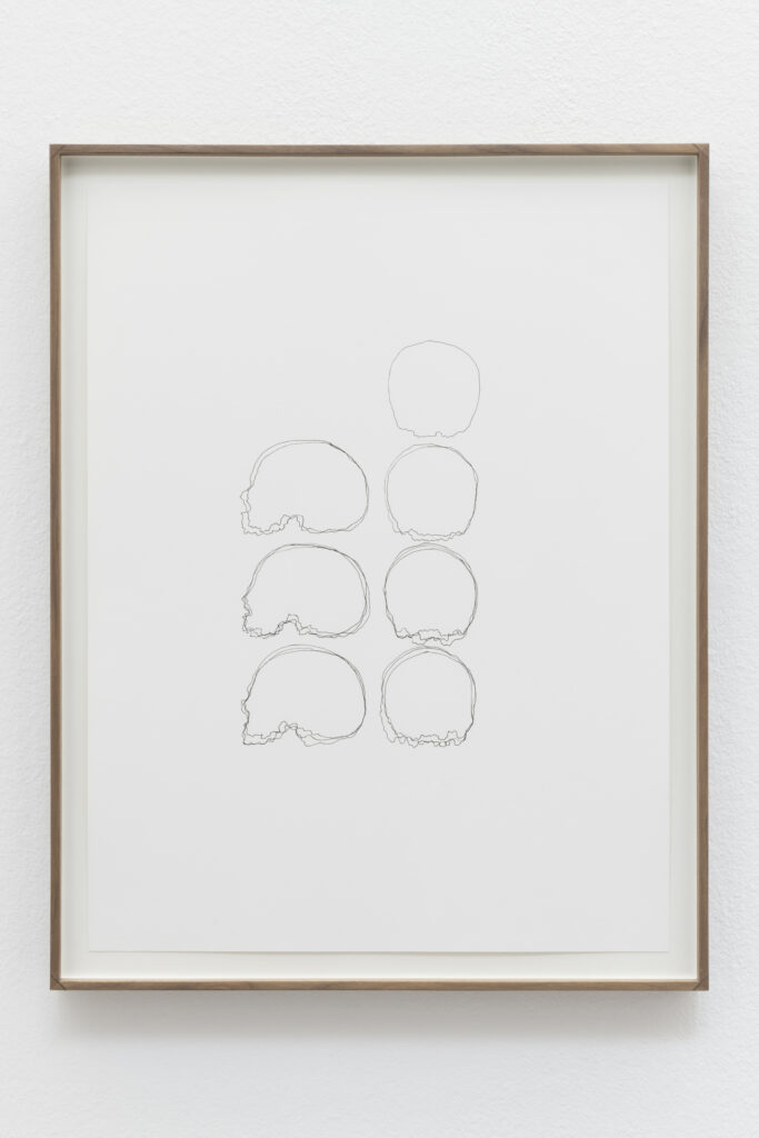 Asier Mendizabal Crania, 2018 |  | ProjecteSD