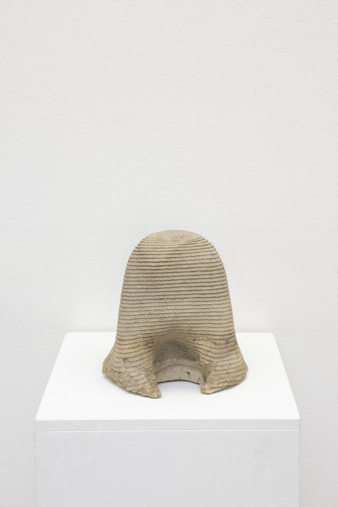 Asier Mendizabal Stilfragen (Glossopalatine), 2025 |  | ProjecteSD