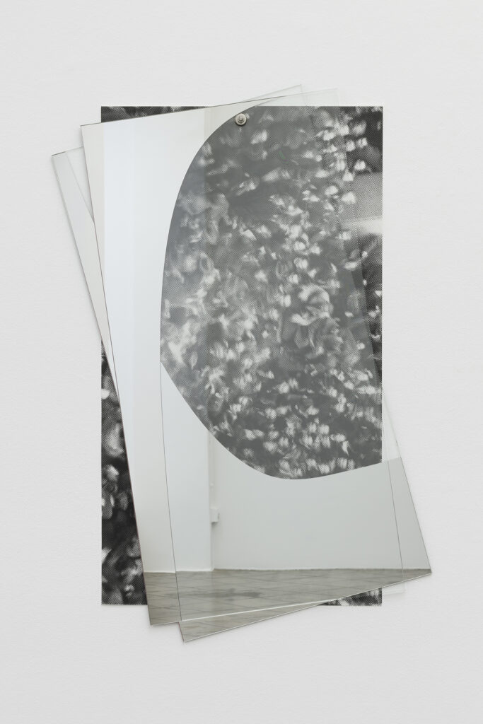 Asier Mendizabal Diagramas de dispersión # 2 (Scatterplot # 2), 2021 |  | ProjecteSD