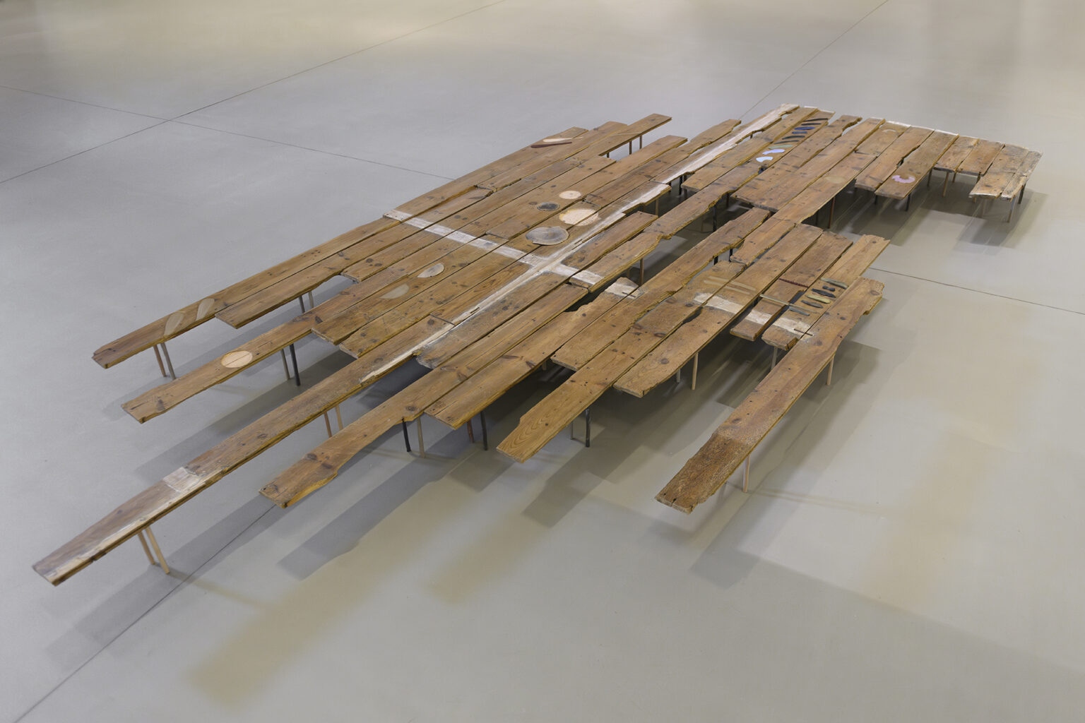 Patricia Dauder Palafito, 2024 |  | ProjecteSD