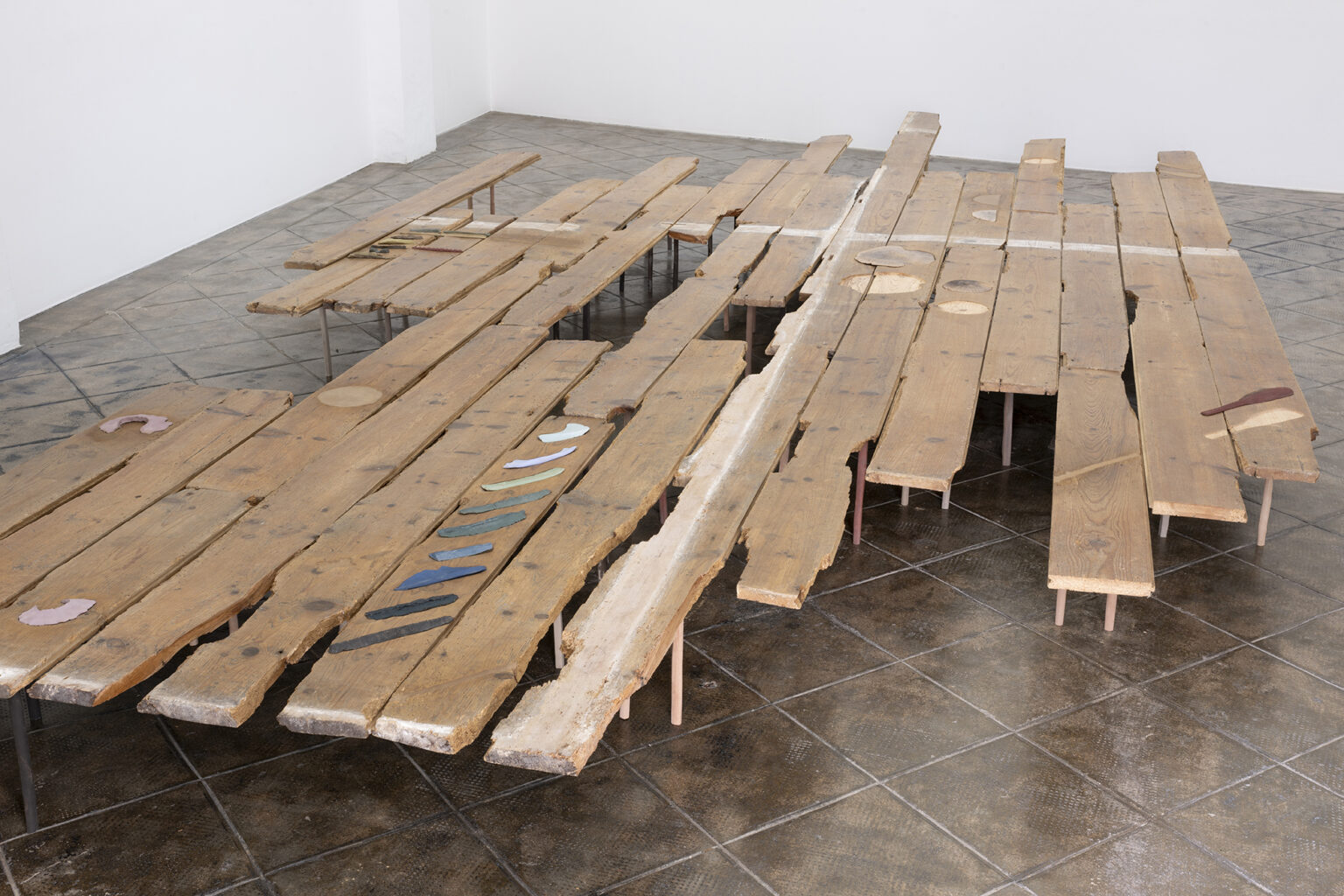 Patricia Dauder Palafito, 2024 |  | ProjecteSD