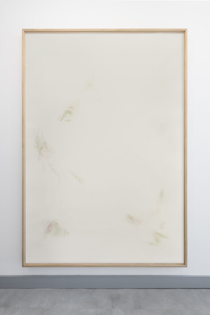 Patricia Dauder Pliegues, 2023 |  | ProjecteSD