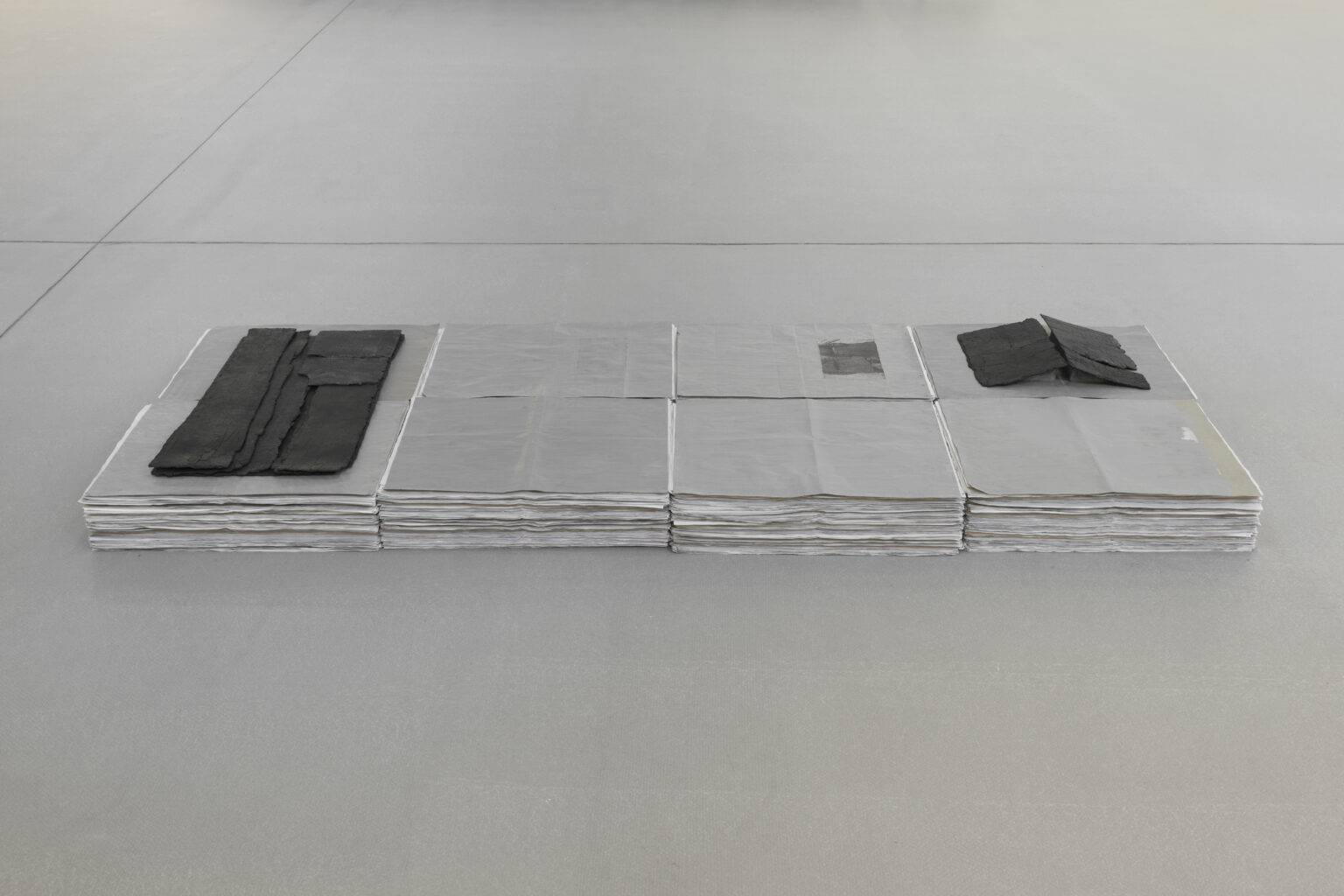 Patricia Dauder Decapar-Trasladar, 2023 |  | ProjecteSD