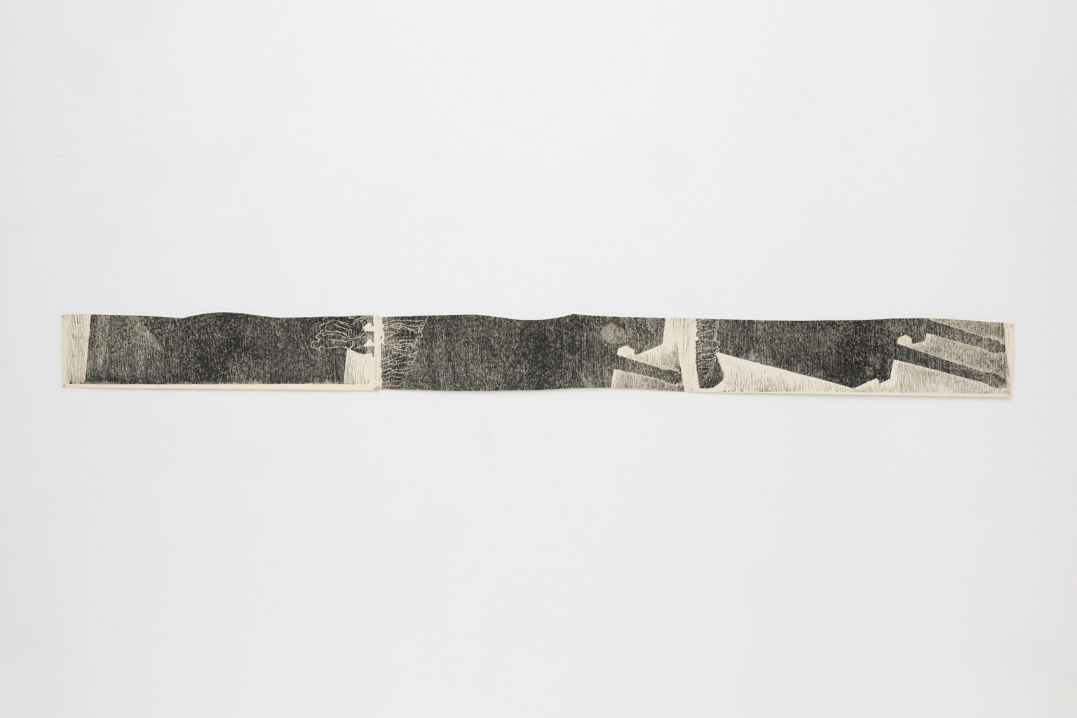 Asier Mendizabal Cut Ibarrola, 2015 | THE COLLECTOR IS PRESENT | ProjecteSD