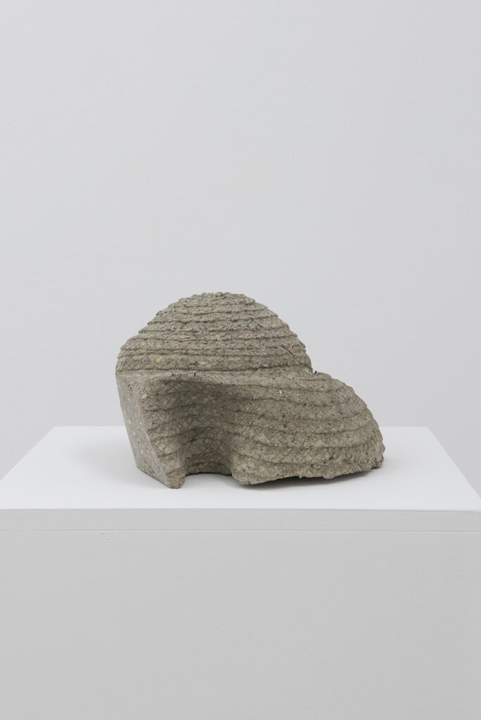 Asier Mendizabal Stilfragen (crania), 2016 | THE COLLECTOR IS PRESENT | ProjecteSD