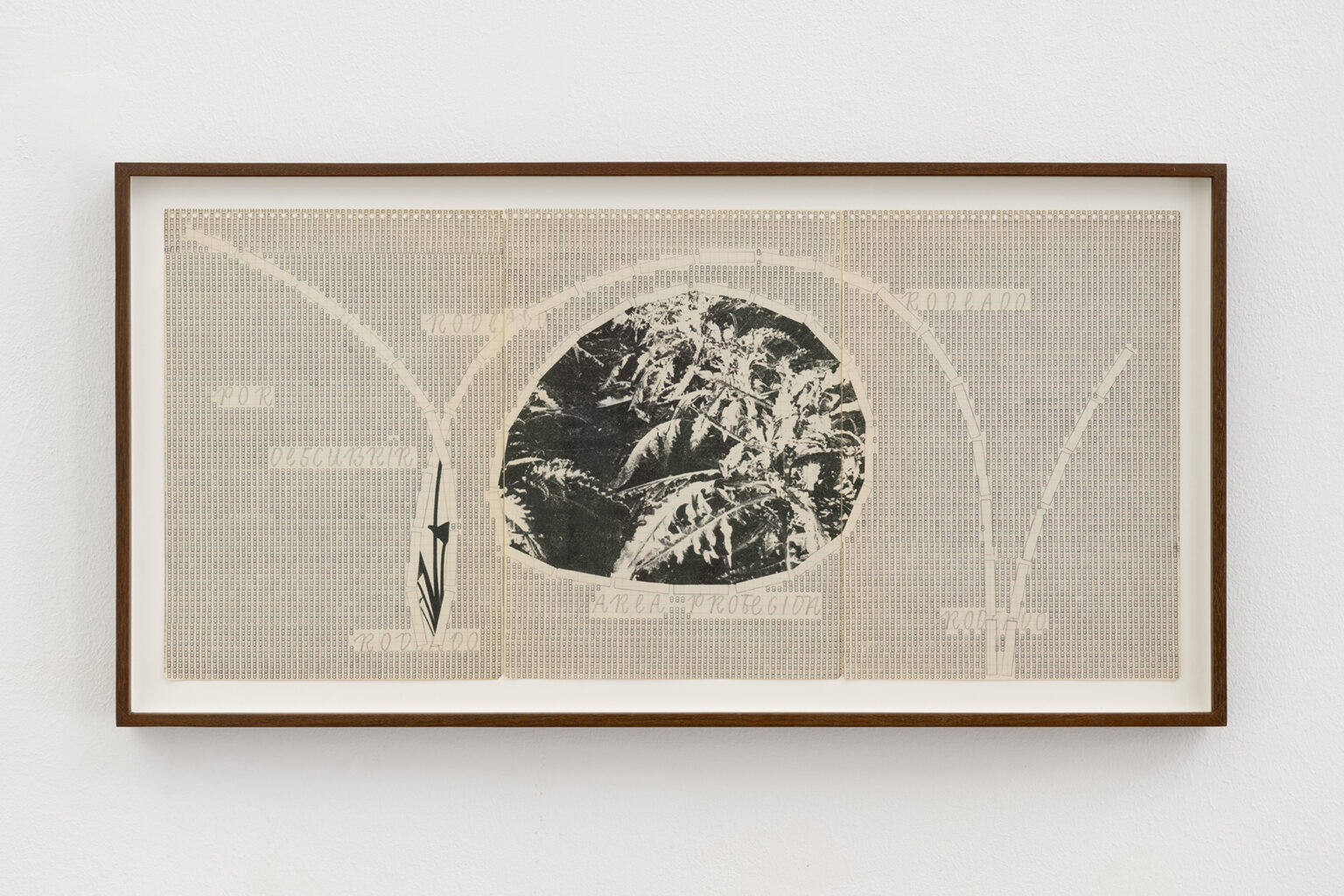 LUCE Rodeado, 2025 |  | ProjecteSD