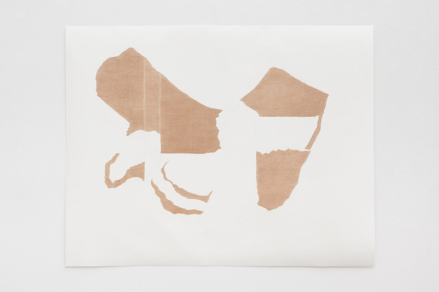 Patricia Dauder Faial, 2021 | | ProjecteSD