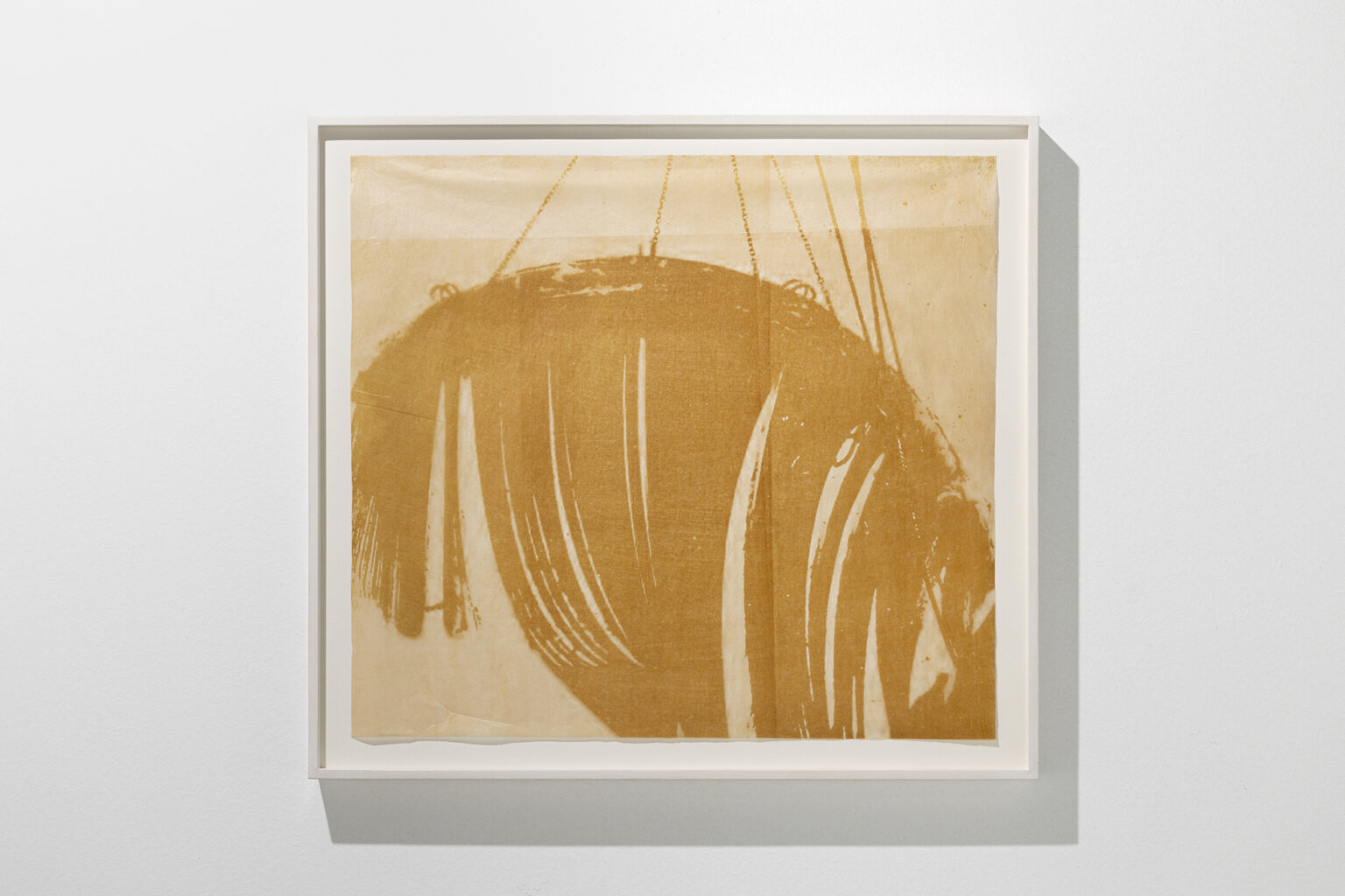 Patricia Dauder Beard, 2021 | | ProjecteSD